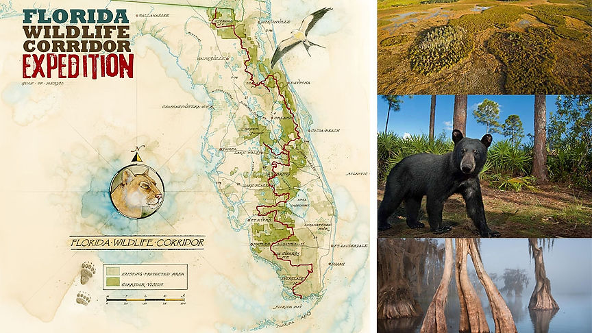 Florida Wildlife Corridor Expedition